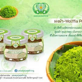 วิสาหกิจชุมชนแสนสกุลรุ่งสุขสำราญ