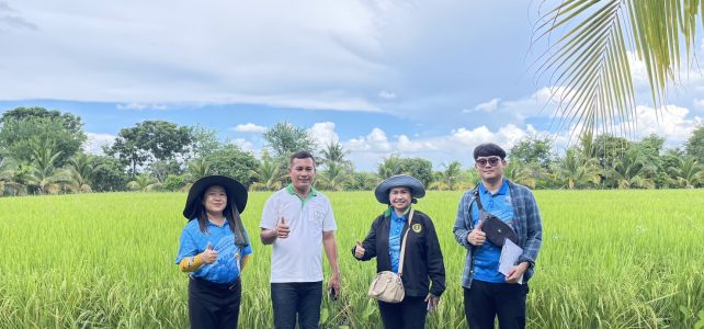 ลงพื้นที่ติดตาม เยี่ยมเยียนสมาชิกกลุ่มเกษตรกรผู้ปลูกข้าวอำเภอด่านมะขามเตี้ย