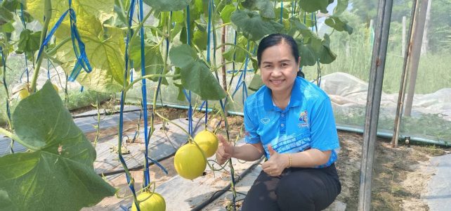 เกษตรด่านฯ…ติดตามเกษตรกรตามระบบส่งเสริมการเกษตร