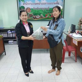ขอรับบริการผ่านศูนย์บริการเกษตรพิรุณราช เรื่องขอรับแหนแดง ณ สำนักงานเกษตรอำเภอด่านมะขามเตี้ย