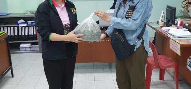 ขอรับบริการผ่านศูนย์บริการเกษตรพิรุณราช เรื่องขอรับแหนแดง ณ สำนักงานเกษตรอำเภอด่านมะขามเตี้ย