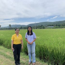 ติดตาม.….เยี่ยมเยียนสมาชิกกลุ่มเกษตรกรผู้ปลูกข้าวอำเภอด่านมะขามเตี้ย
