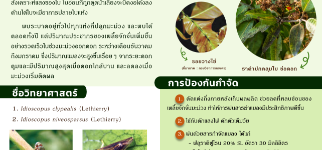 ประชาสัมพันธ์ ประชาสัมพันธ์