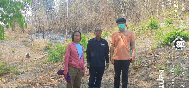 ตรวจสอบจุดความร้อน จากข้อมูลจุดความร้อนรายวัน ดาวเทียมระบบ MODIS