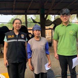 ร่วมกับปศุสัตว์อำเภอด่านมะขามเตี้ย ลงพื้นที่ตรวจสอบปริมาณน้ำนมโค ระดับจังหวัด