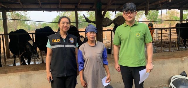 ร่วมกับปศุสัตว์อำเภอด่านมะขามเตี้ย ลงพื้นที่ตรวจสอบปริมาณน้ำนมโค ระดับจังหวัด