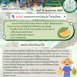 แจ้งเตือน เฝ้าระวังผลกระทบจากภัยแล้ง ในทุเรียน