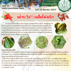 **เตือนภัย เฝ้าระวัง**