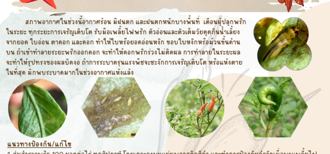 **เตือนภัย เฝ้าระวัง**