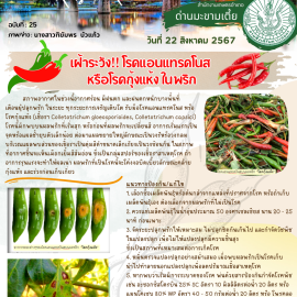 *เตือนภัย เฝ้าระวัง**