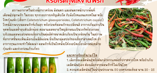 *เตือนภัย เฝ้าระวัง**