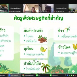 ประชุมชี้แจงแนวทางการดำเนินงานตามระบบการเฝ้าระวังศัตรูพืช ผ่านระบบออนไลน์ (Zoom Meeting)