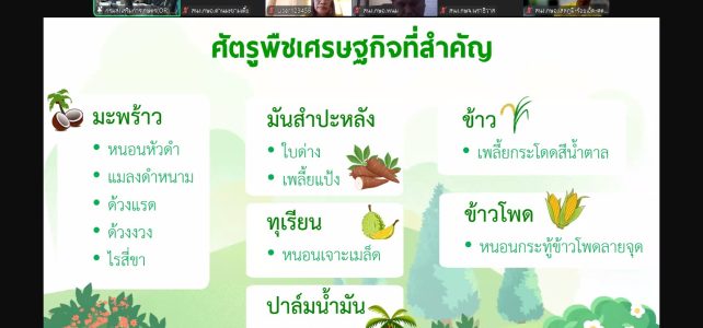 ประชุมชี้แจงแนวทางการดำเนินงานตามระบบการเฝ้าระวังศัตรูพืช ผ่านระบบออนไลน์ (Zoom Meeting)