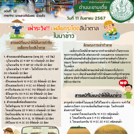 **เตือนภัย เฝ้าระวัง**