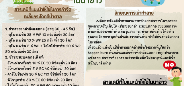**เตือนภัย เฝ้าระวัง**
