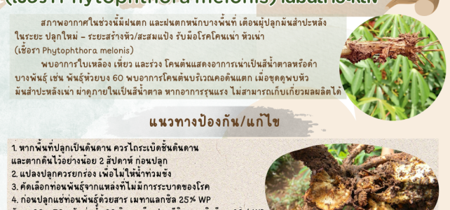 **เตือนภัย เฝ้าระวัง**