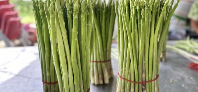 เยี่ยมเยียน วิสาหกิจชุมชนตรีพฤกษา เยี่ยมเยียน วิสาหกิจชุมชนตรีพฤกษา