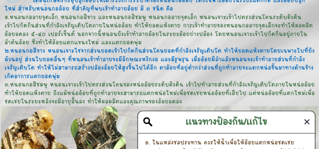 **เตือนภัย เฝ้าระวัง**