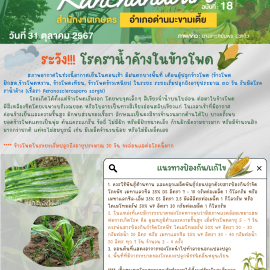 **แจ้งเตือน เฝ้าระวัง**