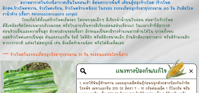 **แจ้งเตือน เฝ้าระวัง**