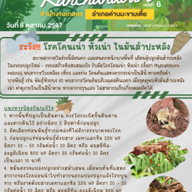 **เตือนภัย เฝ้าระวัง**