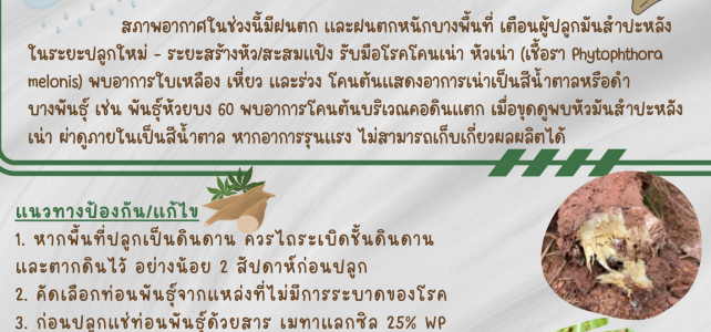 **เตือนภัย เฝ้าระวัง**