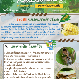 **เตือนภัย เฝ้าระวัง**