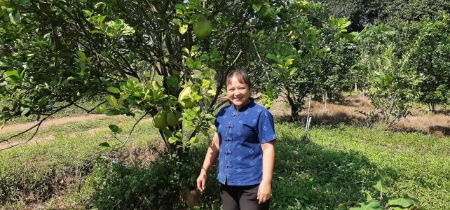 เกษตรด่านมะขามเตี้ย…เยี่ยมเยียนเกษตรกรผู้ปลูกพืชสวนผสม