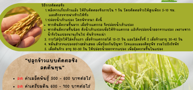 ***ประชาสัมพันธ์*** ***ประชาสัมพันธ์***