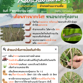 ***เตือนชาวนาระวัง***