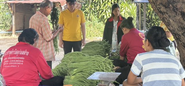 เกษตรด่านมะขามเตี้ย…เยี่ยมเยียนเกษตรกรผู้ปลูกผัก ณ หมู่ 10 ตำบลด่านมะขามเตี้ย
