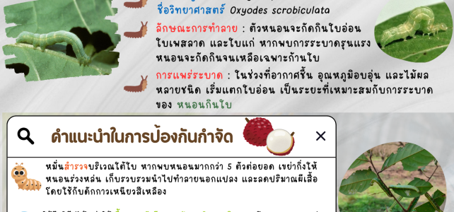 ***เตือนเกษตรกรระวัง***