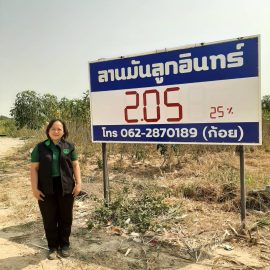 ติดตามโครงการเพิ่มช่องทางการตลาดสินค้าพืชไร่ (มันสำปะหลัง) ปีการผลิต 2567/68 จังหวัดกาญจนบุรี ณ ลานลูกอินทร์ (สุภาพรการเกษตร)