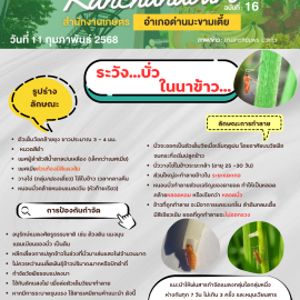 เตือนเกษตรกรระวัง