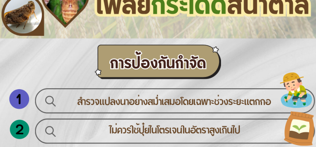 ***แจ้งเตือน เฝ้าระวัง***