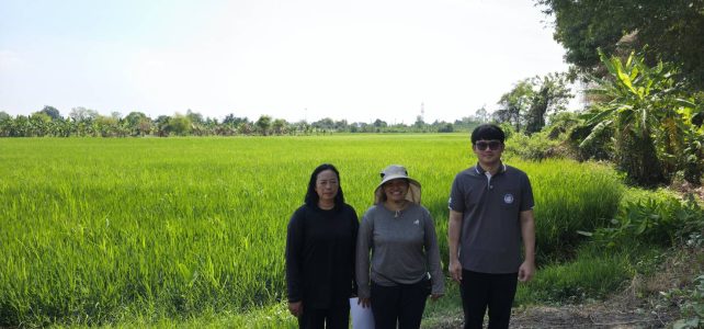 ลงพื้นที่ติดตามเกษตรกรที่เข้าร่วมโครงการพัฒนาทักษะและแนวคิดผู้ประกอบการธุรกิจเกษตร เกษตรกรปราดเปรื่อง (Smart Farmer) ณ หมู่ 1 ตำบลจรเข้เผือก อำเภอด่านมะขามเตี้ย จังหวัดกาญจนบุรี