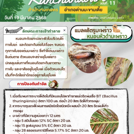 ***เตือนเกษตรกรระวัง***