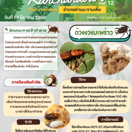 ***เตือนเกษตรกรระวัง***
