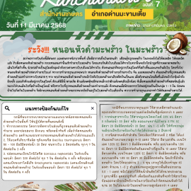 ***เตือนเกษตรกรระวัง*** ระวัง…หนองหัวดำมะพร้าว ในมะพร้าว