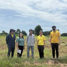 ติดตามโครงการส่งเสริมการใช้มันสำปะหลังพันธุ์ต้านทานโรคใบด่างมันสำปะหลัง ณ หมู่ที่ 3 ตำบลหนองไผ่ อำเภอด่านมะขามเตี้ย จังหวัดกาญจนบุรี
