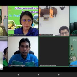 #เกษตรด่านมะขามเตี้ย…ร่วมประชุมคณะทำงานศูนย์ประมวลวิเคราะห์สถานการณ์ภัยพิบัติด้านพืช กรมส่งเสริมการเกษตร ระดับจังหวัด ผ่านระบบออนไลน์ (ZOOM) ณ ห้องประชุมสำนักงานเกษตรอำเภอด่านมะขามเตี้ย จังหวัดกาญจนบุรี