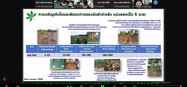 #เกษตรด่านมะขามเตี้ย…ร่วมการอบรมวิทยากรหลัก (Core team) สำหรับการตรวจประเมินแปลงพันธุ์มันสำปะหลังสะอาด ภายใต้มาตรการจัดการโรคใบด่างมันสำปะหลัง ผ่านระบบ Zoom Meeting ณ สำนักงานเกษตรอำเภอด่านมะขามเตี้ย จังหวัดกาญจนบุรี