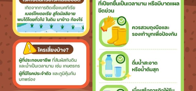 #เกษตรด่านมะขามเตี้ย…เตือนเกษตรกร เฝ้าระวังโรคไข้ดิน
