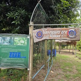 #เกษตรด่านมะขามเตี้ย…เยี่ยมเยียนและติดตามผลการดำเนินงาน ศพก.เครือข่าย ศูนย์การเรียนรู้เศรษฐกิจพอเพียงเฉลิมพระเกียรติ 84 พรรษา ณ หมู่ 1 ตำบลจรเข้เผือก อำเภอด่านมะขามเตี้ย จังหวัดกาญจนบุรี