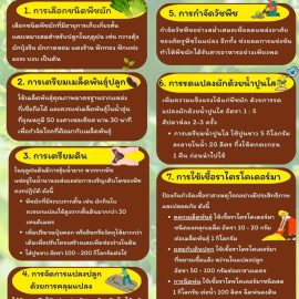 #เกษตรด่านมะขามเตี้ย.….องค์ความรู้เรื่องการดูแลพืชผักในช่วงฤดูฝน