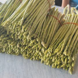 #เกษตรด่านมะขามเตี้ย.….ติดตามการดำเนินงานเกษตรกรผู้ปลูกหน่อไม้ฝรั่ง ณ หมู่ 4 ตำบลด่านมะขามเตี้ย อำเภอด่านมะขามเตี้ย จังหวัดกาญจนบุรี