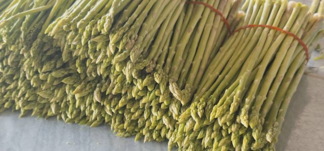 #เกษตรด่านมะขามเตี้ย.….ติดตามการดำเนินงานเกษตรกรผู้ปลูกหน่อไม้ฝรั่ง ณ หมู่ 4 ตำบลด่านมะขามเตี้ย อำเภอด่านมะขามเตี้ย จังหวัดกาญจนบุรี #เกษตรด่านมะขามเตี้ย.….ติดตามการดำเนินงานเกษตรกรผู้ปลูกหน่อไม้ฝรั่ง ณ หมู่ 4 ตำบลด่านมะขามเตี้ย อำเภอด่านมะขามเตี้ย จังหวัดกาญจนบุรี