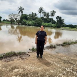 #เกษตรด่านมะขามเตี้ย.….ติดตามสถานการณ์พื้นที่เกษตรที่ได้รับผลกระทบจากพายุฝน ณ หมู่ 6 ตำบลหนองไผ่ อำเภอด่านมะขามเตี้ย จังหวัดกาญจนบุรี