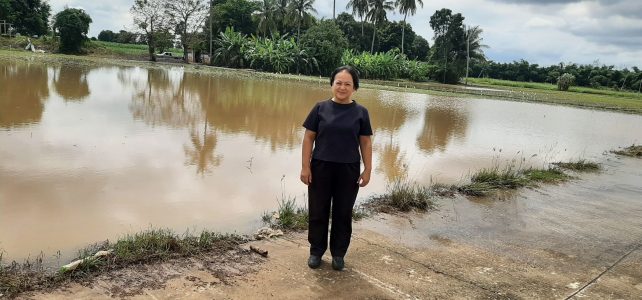 #เกษตรด่านมะขามเตี้ย.….ติดตามสถานการณ์พื้นที่เกษตรที่ได้รับผลกระทบจากพายุฝน ณ หมู่ 6 ตำบลหนองไผ่ อำเภอด่านมะขามเตี้ย จังหวัดกาญจนบุรี #เกษตรด่านมะขามเตี้ย.….ติดตามสถานการณ์พื้นที่เกษตรที่ได้รับผลกระทบจากพายุฝน ณ หมู่ 6 ตำบลหนองไผ่ อำเภอด่านมะขามเตี้ย จังหวัดกาญจนบุรี