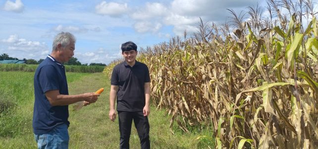 #เกษตรด่านมะขามเตี้ย.….ติดตามการดำเนินงาน ศพก.เครือข่าย (เกษตรทฤษฎีใหม่) หมู่ที่ 2 ตำบลกลอนโด อำเภอด่านมะขามเตี้ย จังหวัดกาญจนบุรี #เกษตรด่านมะขามเตี้ย.….ติดตามการดำเนินงาน ศพก.เครือข่าย (เกษตรทฤษฎีใหม่) หมู่ที่ 2 ตำบลกลอนโด อำเภอด่านมะขามเตี้ย จังหวัดกาญจนบุรี